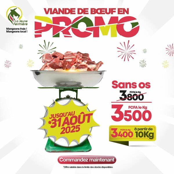 Viande de Bœuf Sans Os