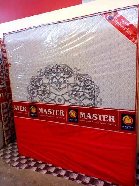 Master SpinePlus