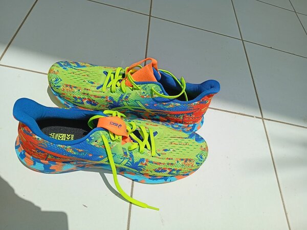 Asics noosa TRI 14 M homme