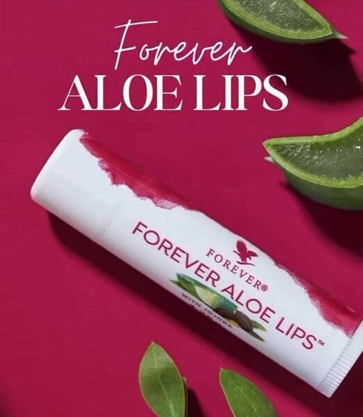 Baume à lèvres Aloe Vera