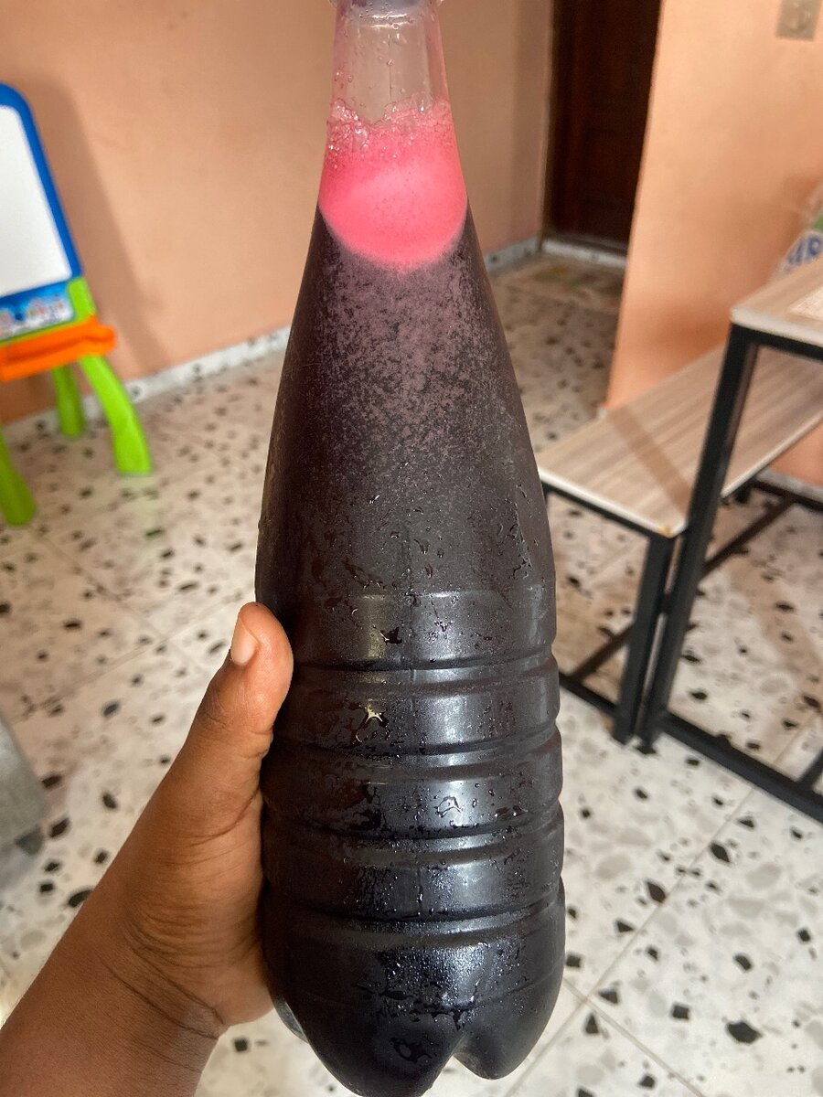 Jus de bissap nature