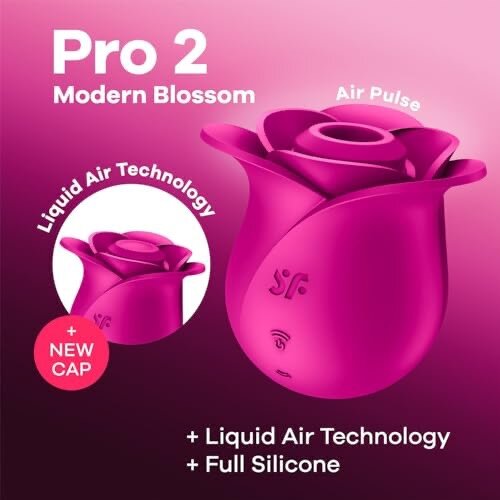 Vibromasseur Satisfyer Pro 2