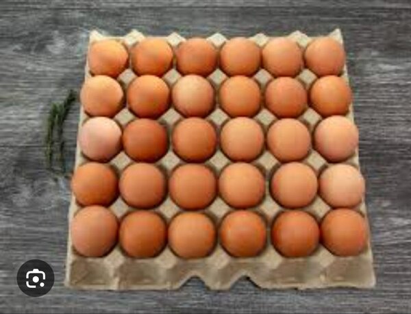 Tray of eggs
