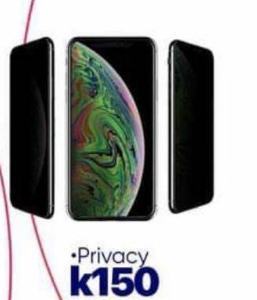 privacy screen protector
