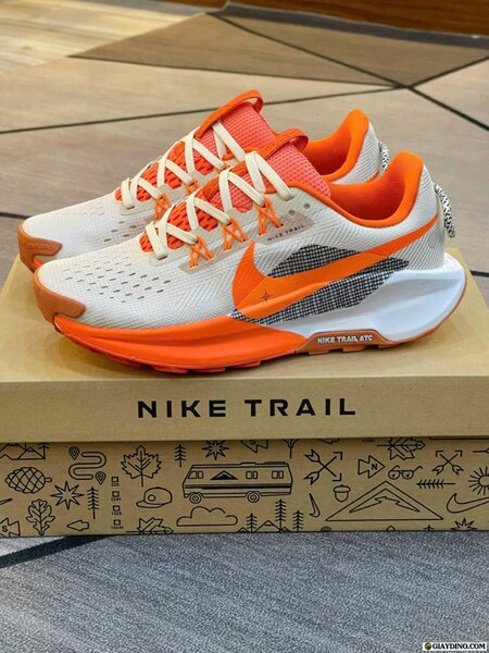 Nike Trail Chaussures Homme
