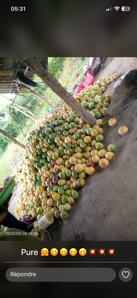 Fruits de la Passion Frais