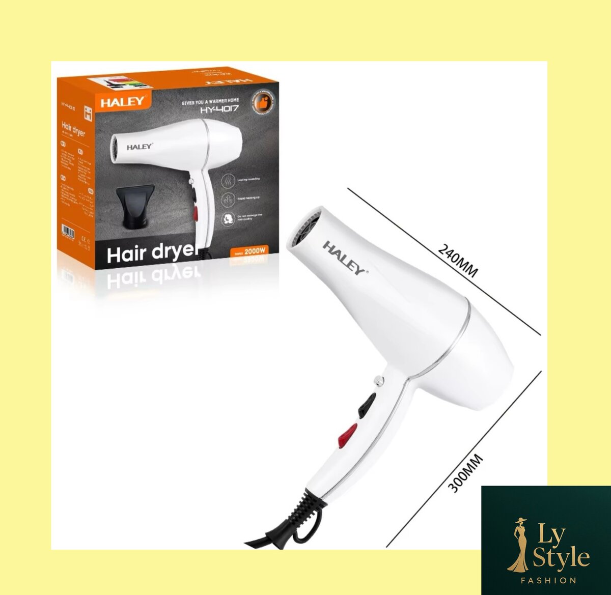 Sèche-cheveux professionnel Haley