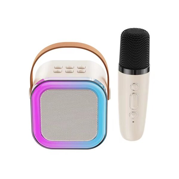 Système Karaoke Bluetooth LED