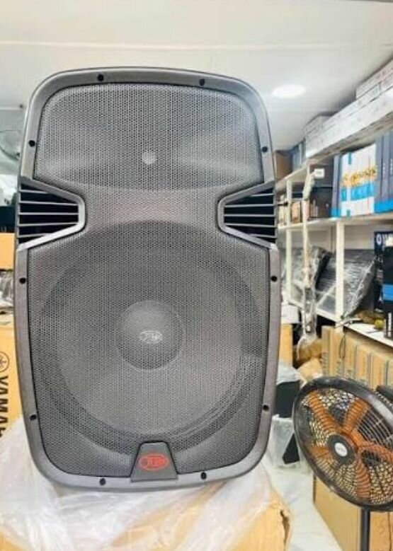 Enceinte Amplifiée Puissante