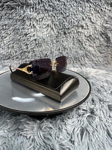 Lunettes de Soleil Élégantes