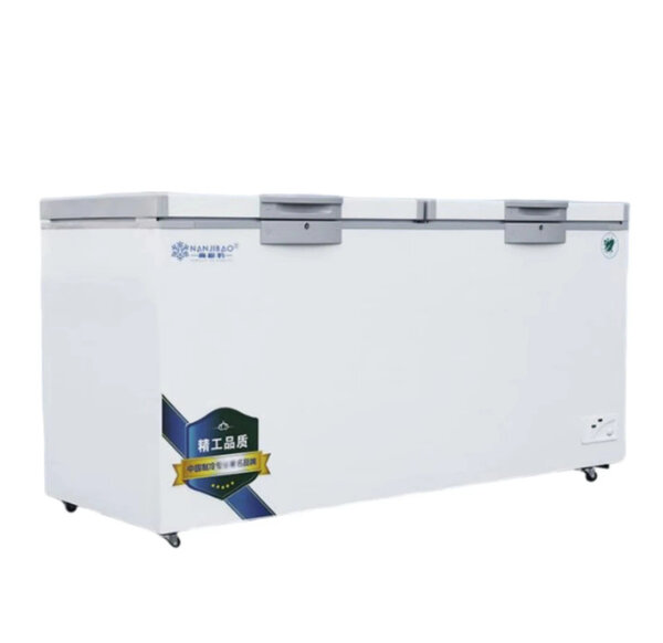 Congélateur coffre grande capacité