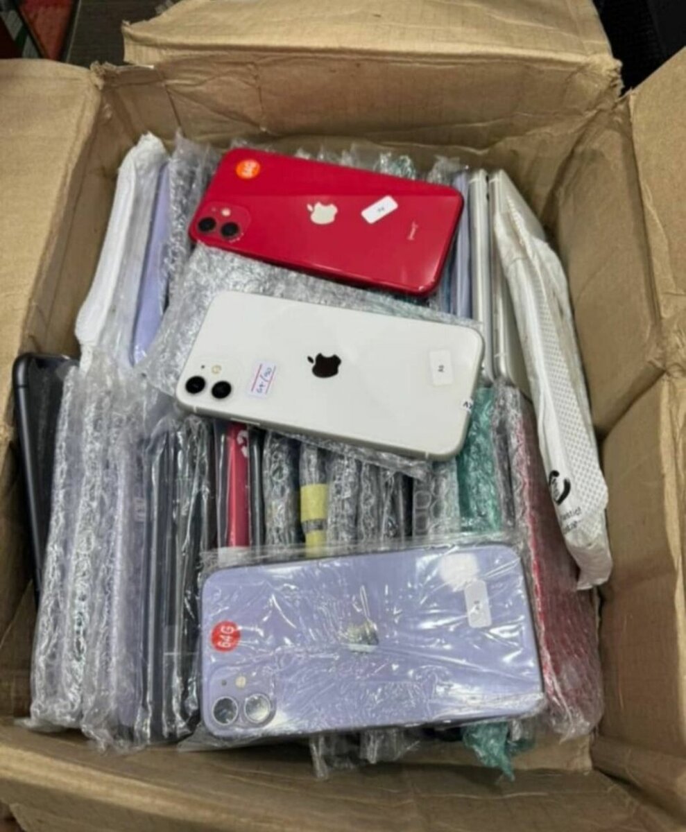 iPhone 11 Multicolore Neuf