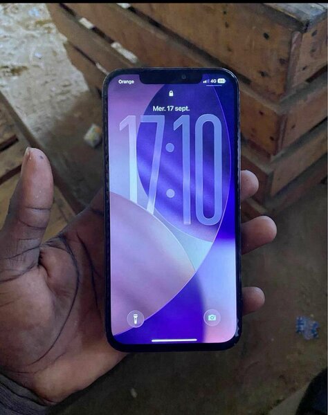 iPhone 13 Pro Max Bleu