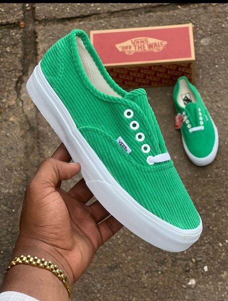 Chaussures Vans Authentic Colorées