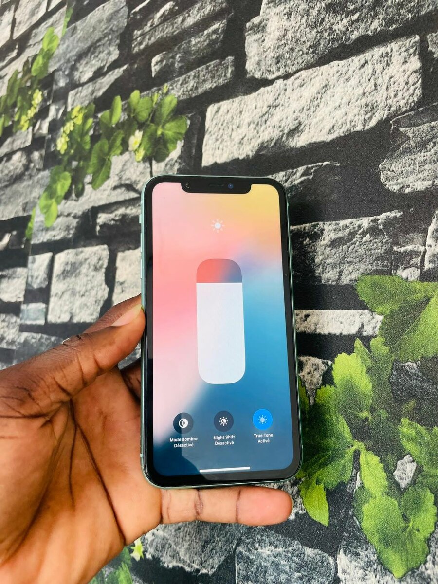 iPhone 11simple