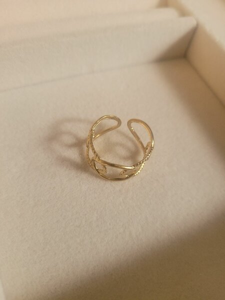 Bague en acier inoxydable