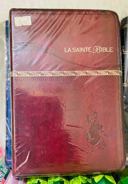 Bible version segond