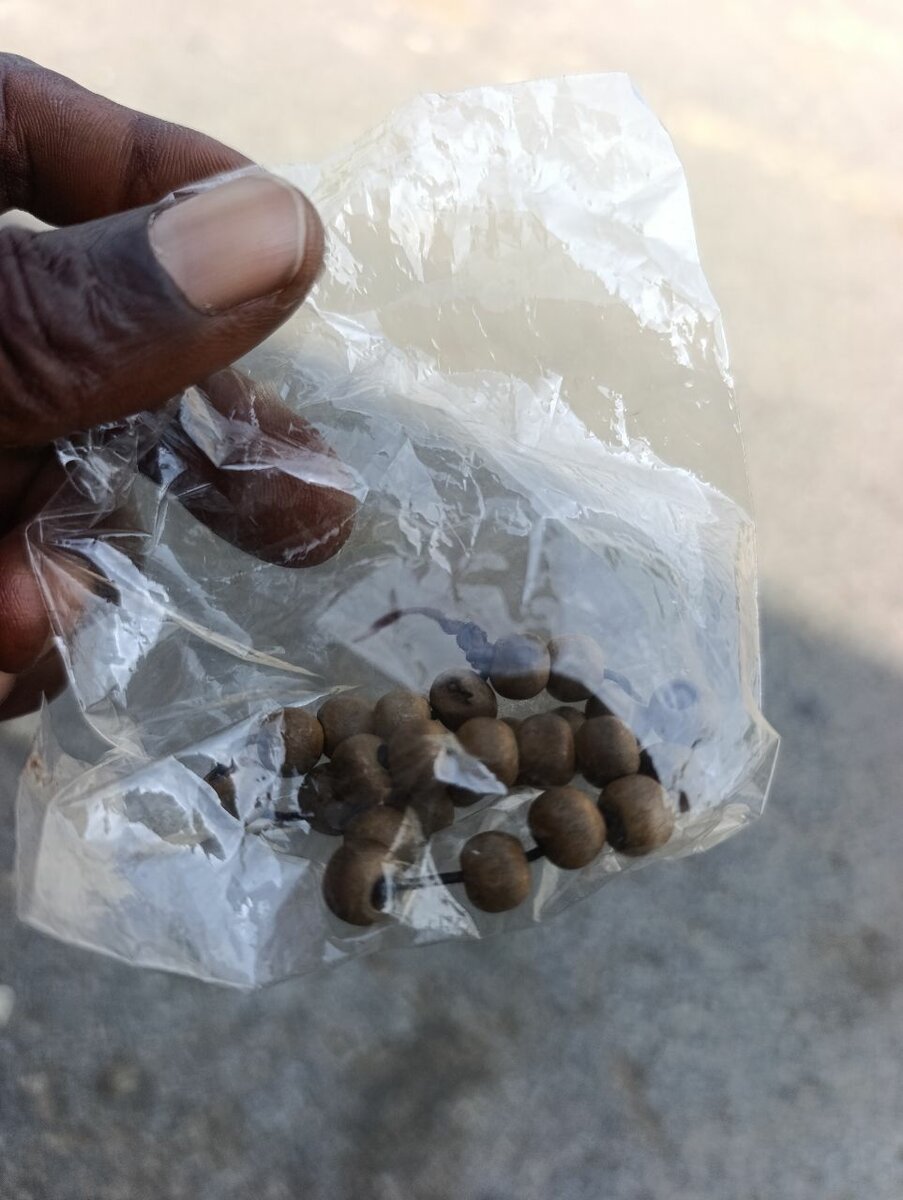 Adaptateur Universel Voyage