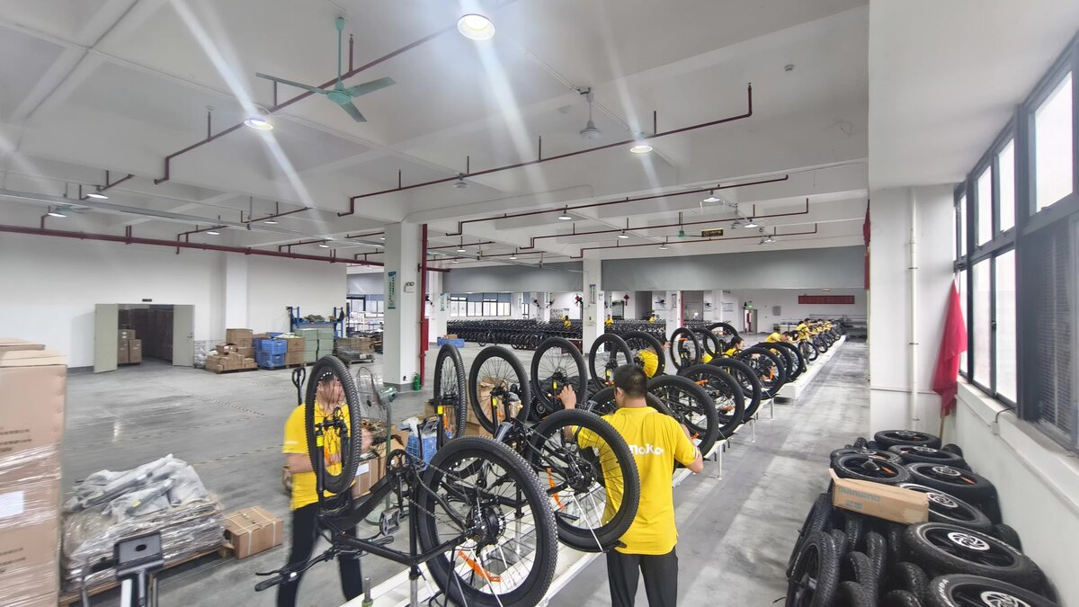 Vélo Électrique Tout-Terrain