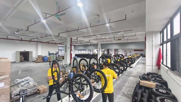 Vélo Électrique Tout-Terrain