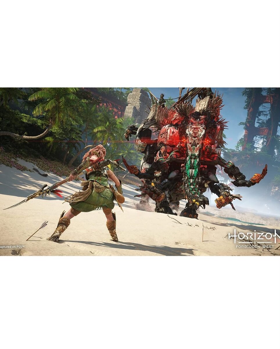 Horizon Forbidden West cd PS5