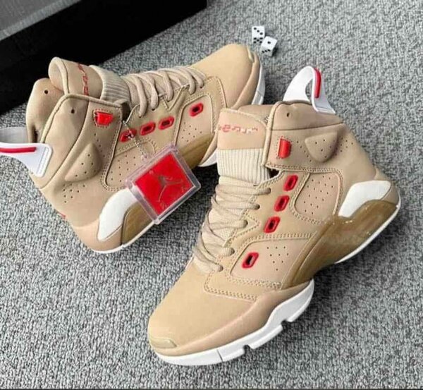 Air jordan 6