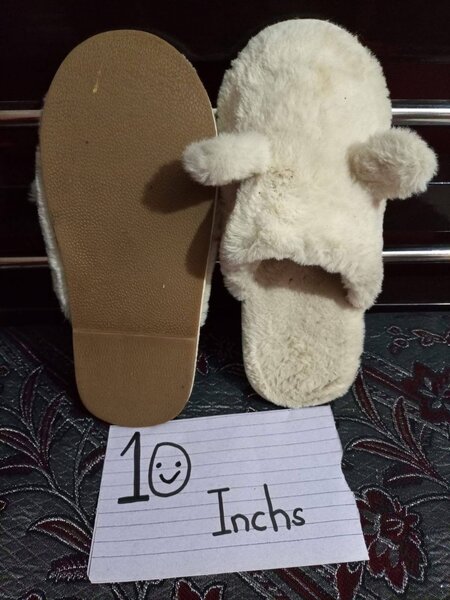 Ladies slippers