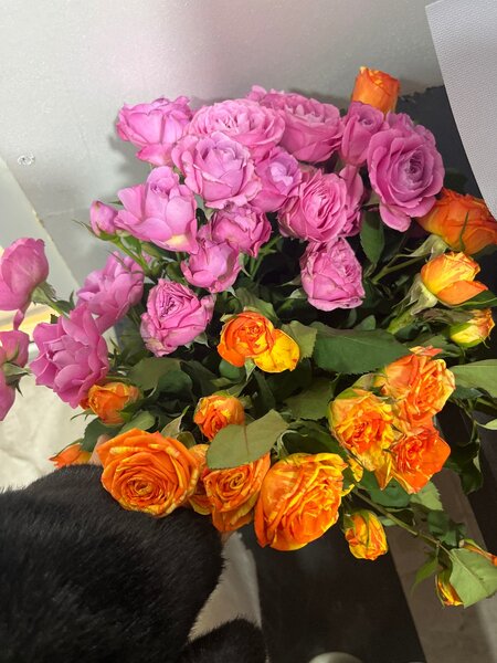 Штучные розы.Голландские