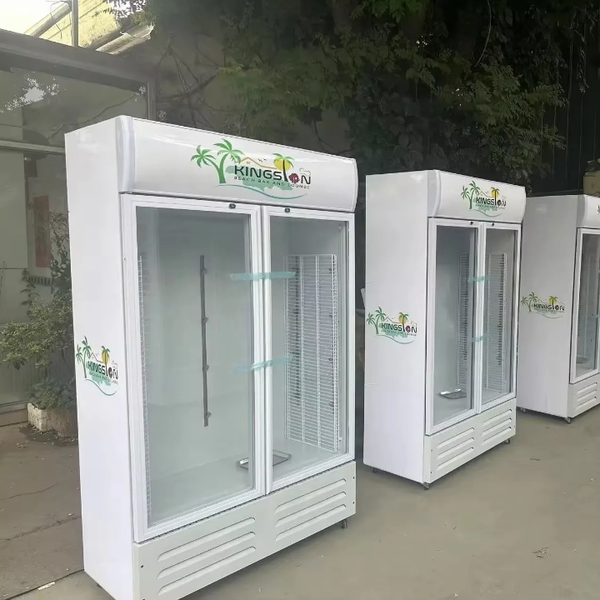 DISPLAY REFRIGERATOR