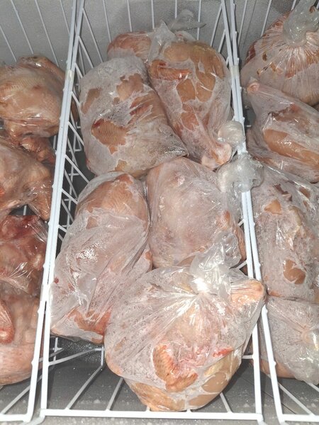 Poisson en gros et détail