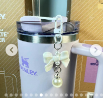 Stanley Cup Accessories