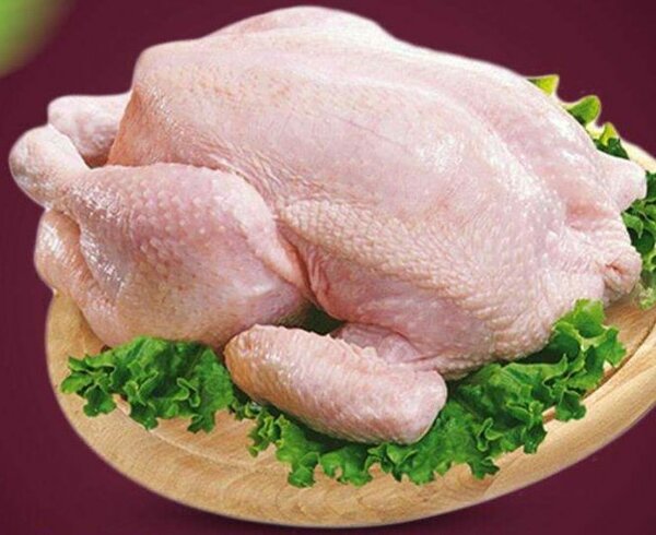 Gros Poulet entier frais