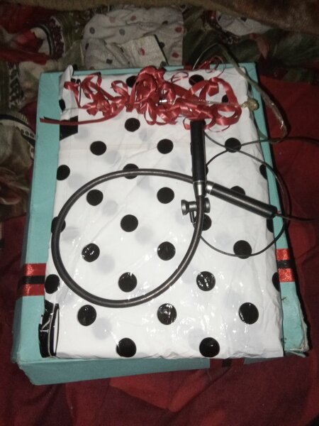 Clove bracelet plus Maria B SUIT PLUS SURPRISE GIFT