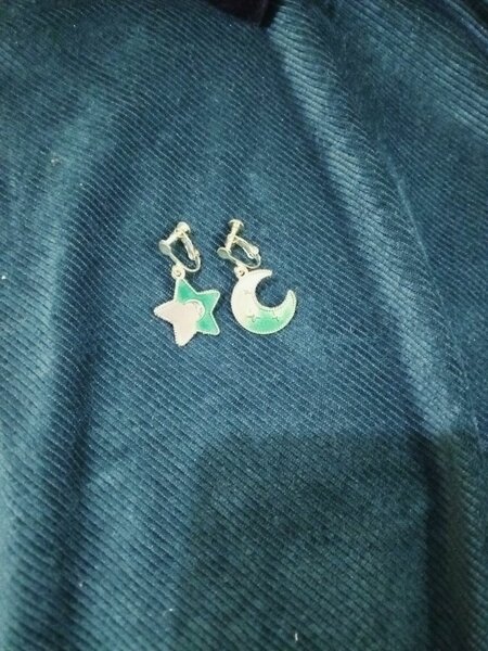 Moon Star Earrings