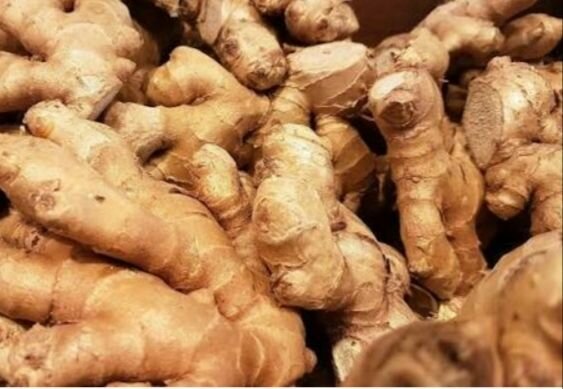 Granulés de Gingembre Naturels