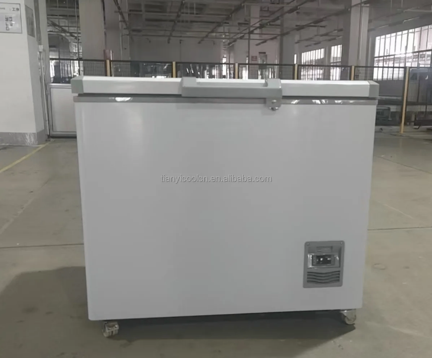 Congélateur coffre grande capacité