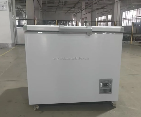 Congélateur coffre grande capacité