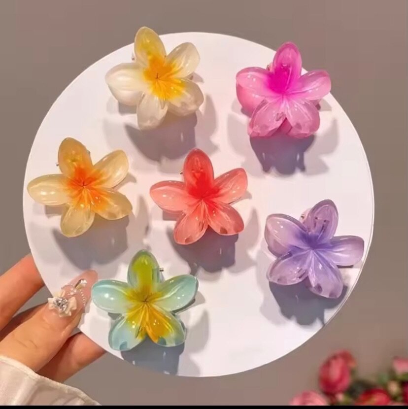 Ensemble de 6 pinces à cheveux en forme dégradée