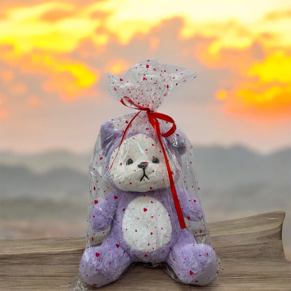 Плюшевые мишки с капюшоном