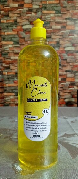 Nettoyant multi-usages 1L