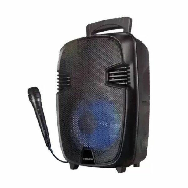 Enceinte Portable Bluetooth Karaoké