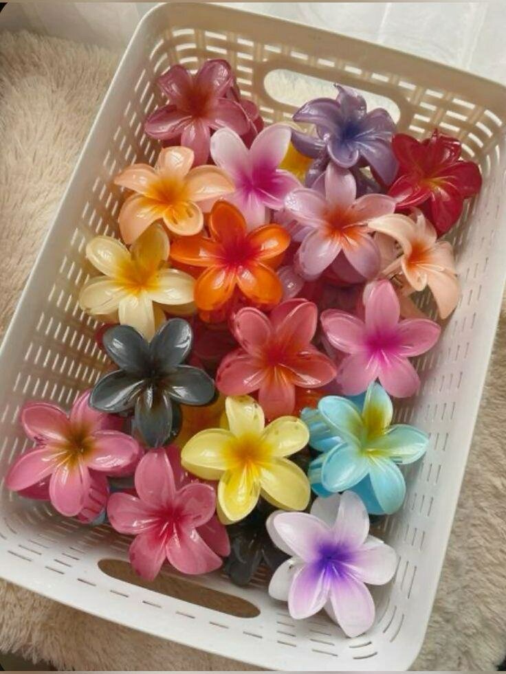 Pinces à cheveux fleurs colorées