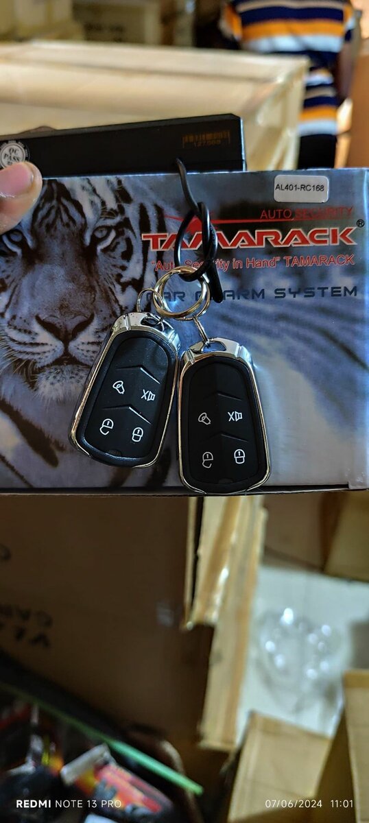 Car alarm  security system and keyless entry central locking