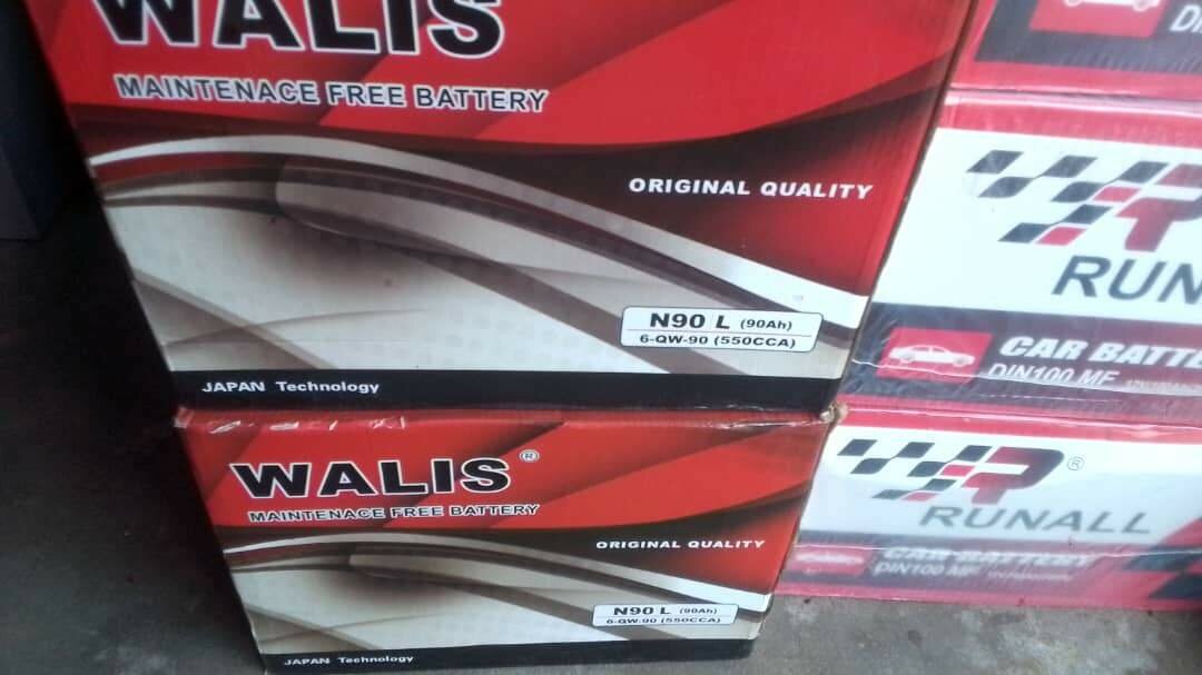 Walis Maintenance-Free Battery