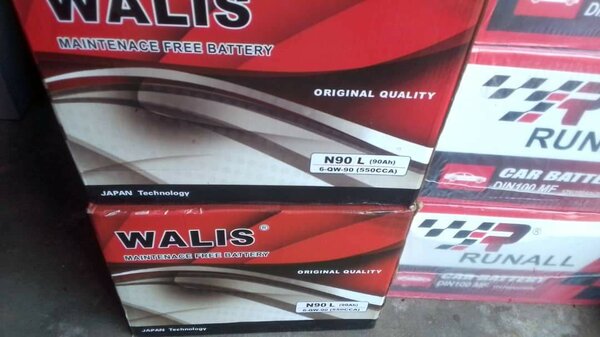 Walis Maintenance-Free Battery