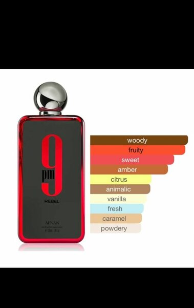 Parfum Afnan 9 PM