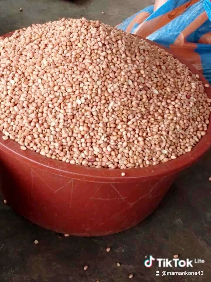 Patte d'arachide Bio hallale