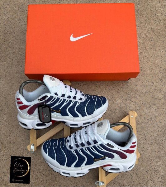 Baskets Nike Air Max