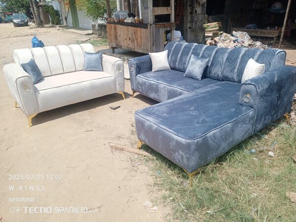 Canapé et Causeuse Élégants