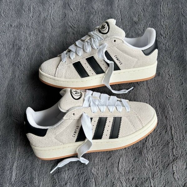 Chaussure Adidas Campus